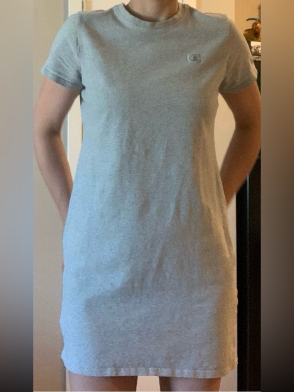 Champion Light Gray T-Shirt Mini Dress